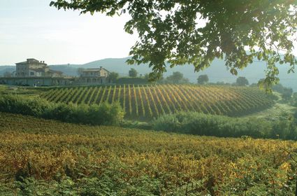 Scorcio di campagna