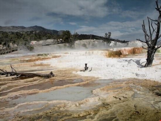 Yellowstone National Park Yellowstone National Park  