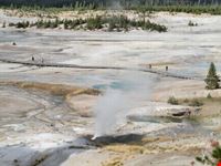 geyser yellowstone national park