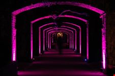 Il locale Shunt Lounge a Londra