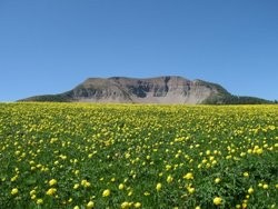 Parco Adamello Brenta