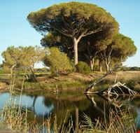 Principina a Mare - Parco Naturale della Maremma Principina a Mare - Parco Naturale della Maremma