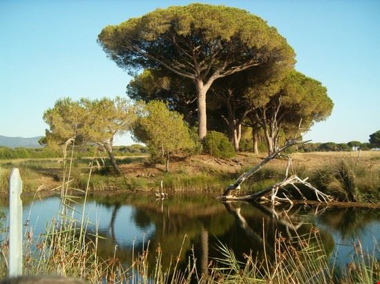 Marina di Grosseto