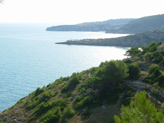 Baia di Procinisco