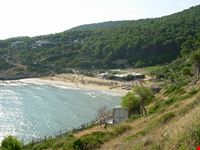 spiaggia nella baia