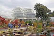 new york new york botanical garden