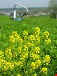 new york freshkills park all  interno della staten island greenbelt