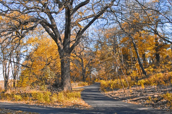 Prospect Park in autunno