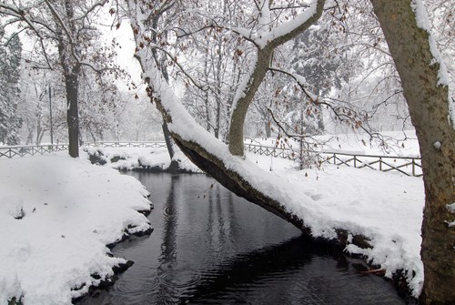 Parco Sempione sotto la neve a Milano