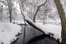 Parco Sempione sotto la neve a Milano