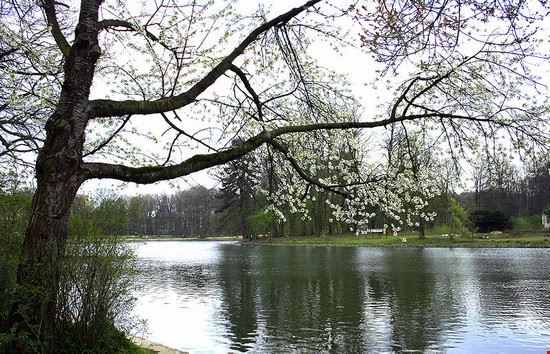 Bosco di La Cambre - Jean-Pol GRANDMONT - Jean-Pol GRANDMONT - Creative Commons Attribution-Share Alike 3.0 Unported