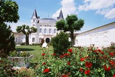 bordeaux bordeaux wines