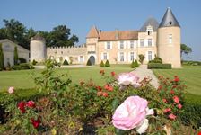 bordeaux france wine tours