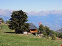 Paesaggio 6