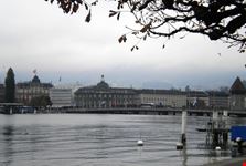 Lucerna