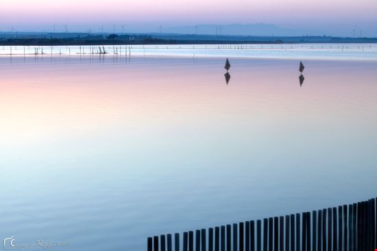 Lesina Lesina  
