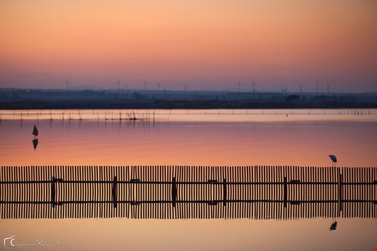 Lesina Lesina  