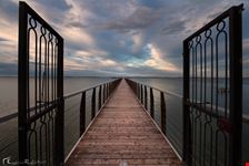 Lesina