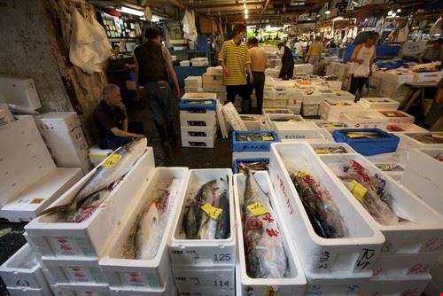 Tsukiji-market  - Stephen Bures / Shutterstock.com - Stephen Bures / Shutterstock.com