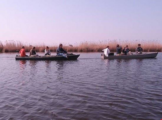 Parco Naturale Migliarino San Rossore Massaciuccoli - http://www.parcosanrossore.org