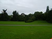 Gli alberi incontrano il prato