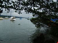 vista sul fiume