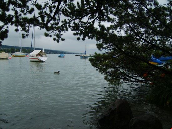  Zurich  
