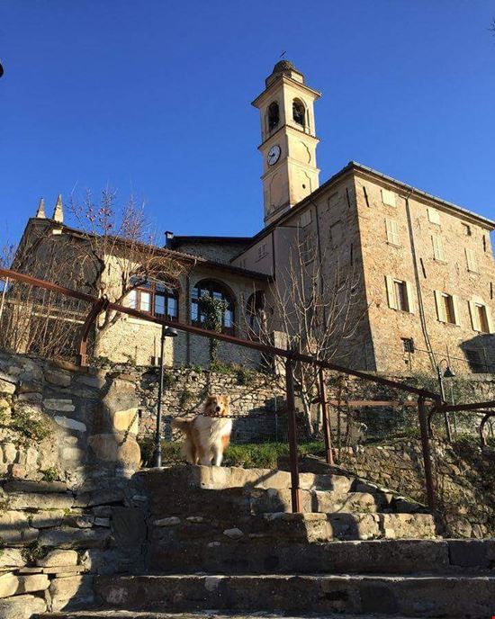 La Pieve di S. ANTONINO La Pieve dedicata al Patrono S. ANTONINO visto dalla passeggiata della Dea Minerva che costeggia il Borgo e il Fiume Trebbia  