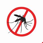 Proteggersi dalla Dengue