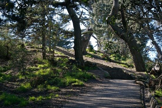 Buena Vista Park San Francisco Marcin Wichary - Creative Commons Marcin Wichary