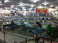 Dentro Amoeba Music