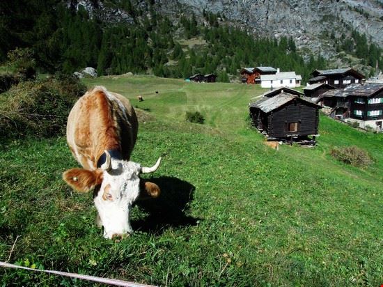 Horu Kaserei Zermatt  