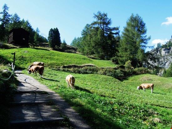 Horu Kaserei Zermatt  