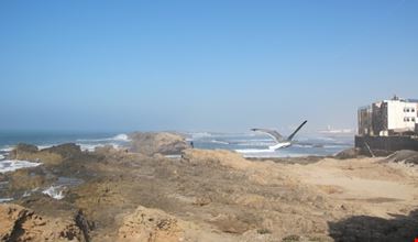 porto essaouira porto essaouira