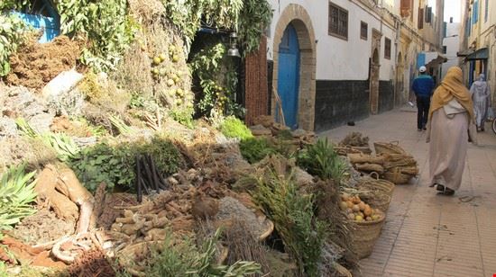  Essaouira Naida Caira 