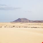 Parco delle dune di Fuerteventura