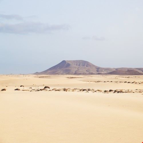 Il parco delle dune Fuerteventura Tamara Kulikova - www.shutterstock.com Tamara Kulikova