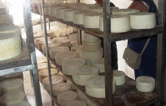 Consigli Utili su Cucina e vini - Maksim - Maksim - Creative Commons