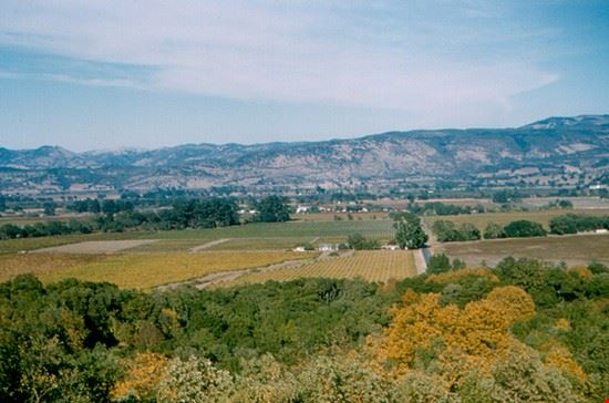 Napa Valley - roger4336 - roger4336 - Creative Commons