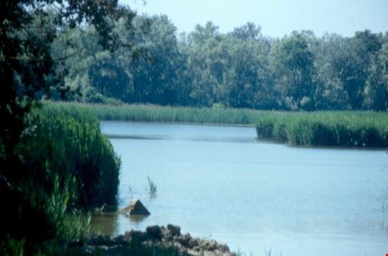  Gli angoli più nascosti del fiume, visibili solo con mezzi nautici appropriati  