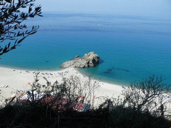  Palmi  