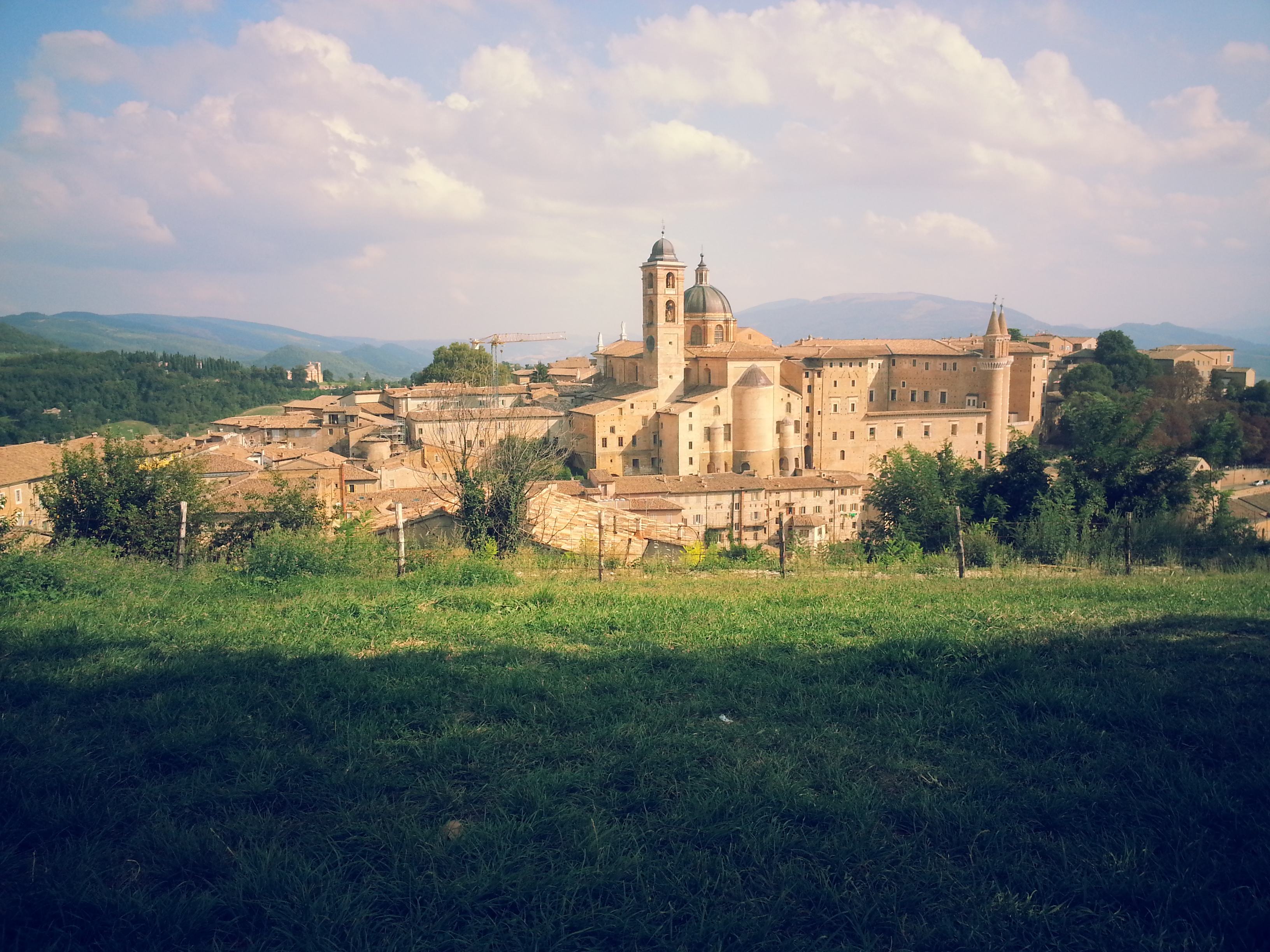 Urbino Marche