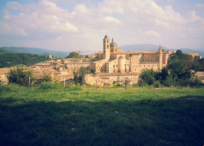 Urbino Marche
