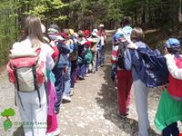 Educazione Ambientale