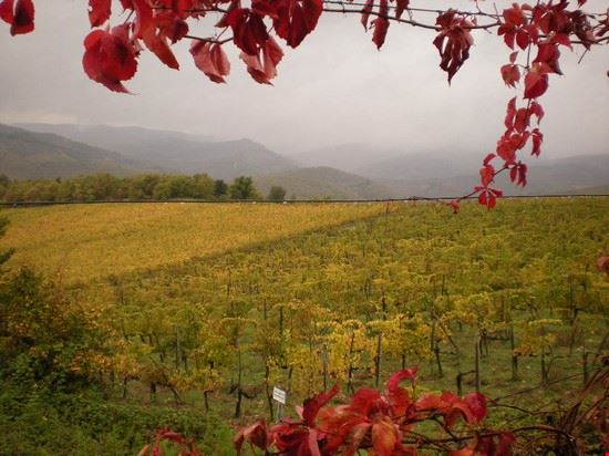  nel chianti con mimmo  