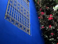 Jardin Majorelle