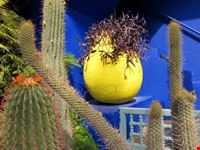 Jardin Majorelle