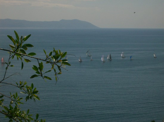 panorama