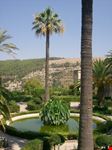 Ibla