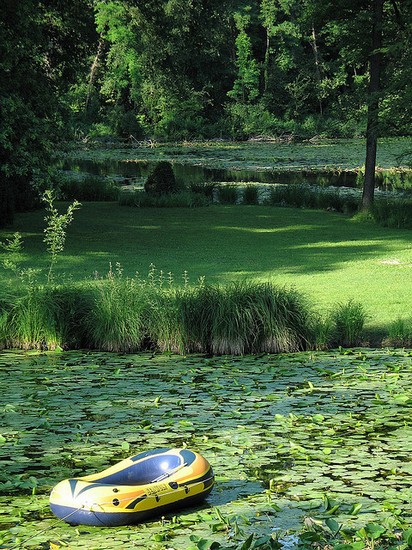 Parco di Villa Sorra, Modena